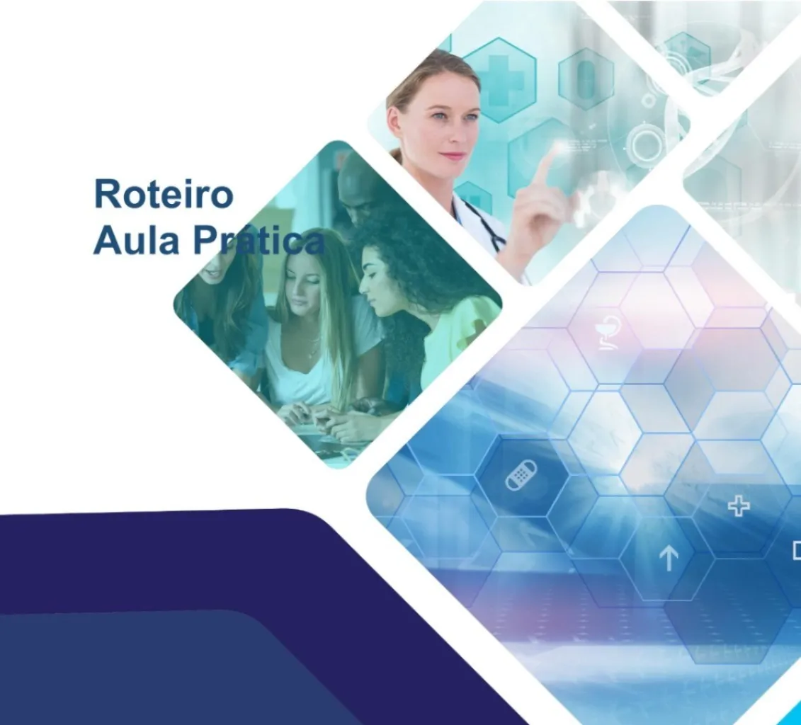 Roteiro de Aula Prática